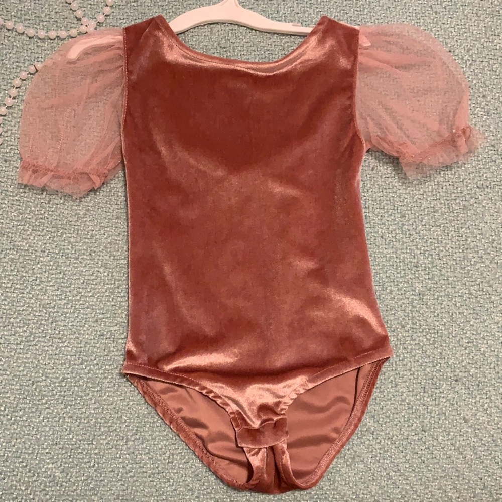 Zara Blush velvet leotard with puffy sleeves